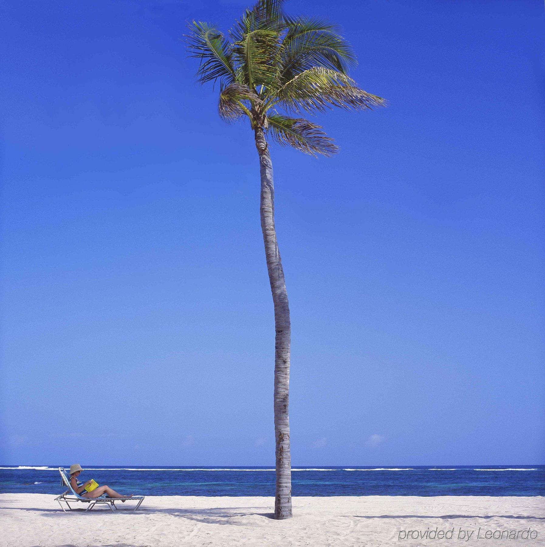 Nisbet Plantation Beach Club Newcastle Village 외부 사진